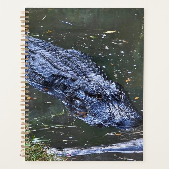 Agenda Shadow in the Shallows (Frente)