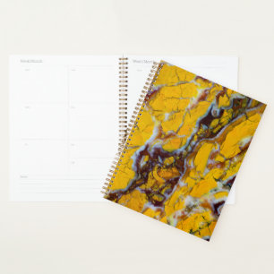 Agenda Shattuckita Amarela