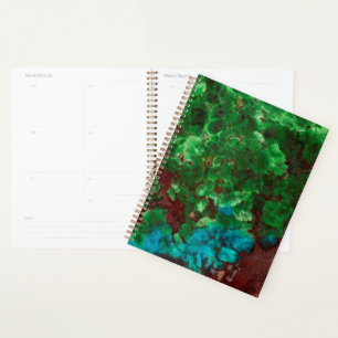 Agenda Shattuckita com Lacado Verde