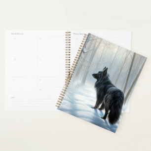 Agenda Sheepdog belga deixa nevar o Natal
