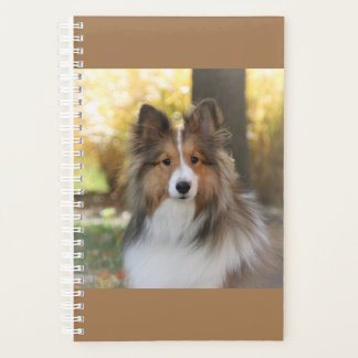 Agenda Sheltie Planner