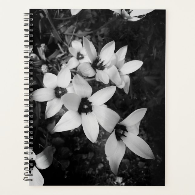 Agenda Silent Symmetry (Frente)