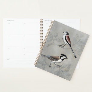 Agenda Silvered Aviary   Par A