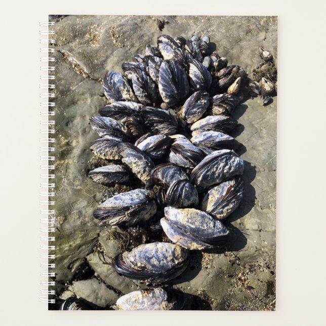 Agenda Sisters Rock State Park, Costa do Oregon (Frente)