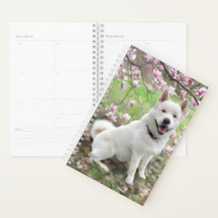 Agenda Sm Planner White Akita