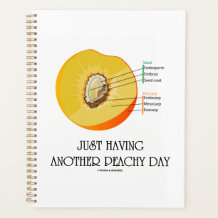 Agenda Só Ter Outro Dia De Pêssego Anatomia
