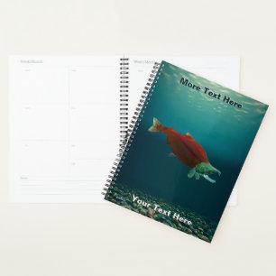 Agenda Sockeye Salmon