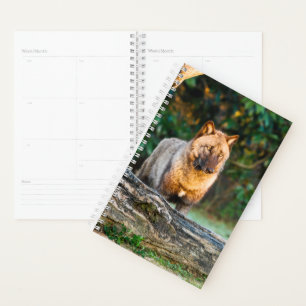 Agenda Solo Wolf Planner