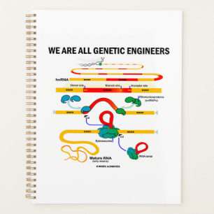 Agenda Somos Todos Engenheiros Genéticos RNA Splicando H