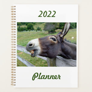 Agenda Sorrir Donkey em pasto com cachorro