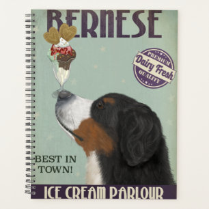 Agenda Sorvete Bernese