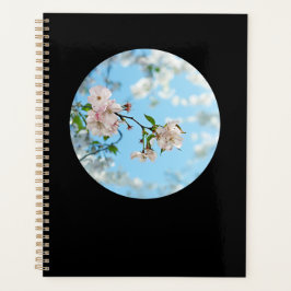 Agenda Spring Is in the Air - 