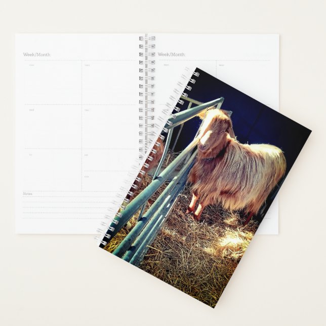 Agenda Sr. suave (Exibição)