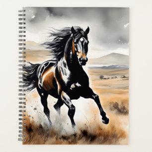 Agenda Stallion in Full Stride