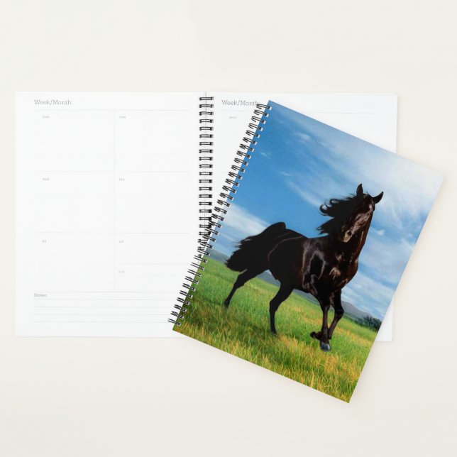 Agenda Stallion Negro (Exibição)