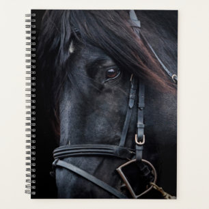 Agenda Stallion Negro