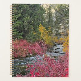 Agenda Stream Blooms Planner