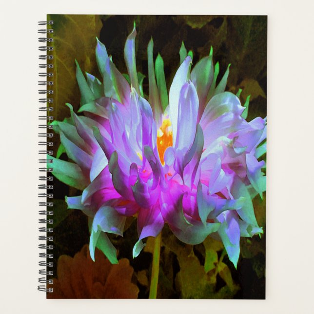 Agenda Stunning Magenta and Lime Green Cactus Dahlia (Frente)