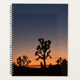 Agenda Sunset Joshua Trees