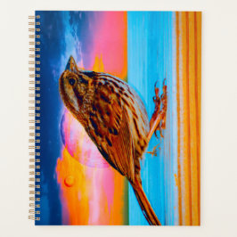 Agenda Sunset Melody