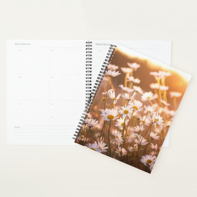 Agenda Sunset Oxeye Daisies (Exibição)