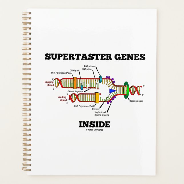 Agenda Supertaster Genes Dentro do Humor de Replicação de (Frente)
