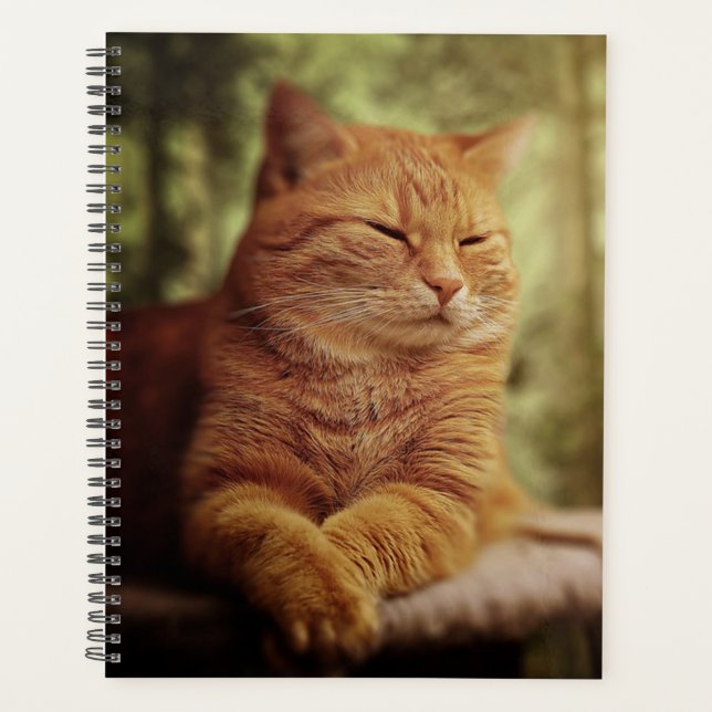 Agenda Tabby (Frente)