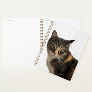 Agenda Tabby Cat Retrato Artístico Em Fundo Branco