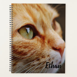 Agenda Tabby Laranja com Olhos Verdes Personalizados