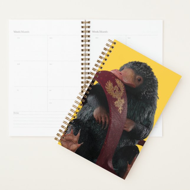 Agenda Teddy With Tie Graphic (Exibição)