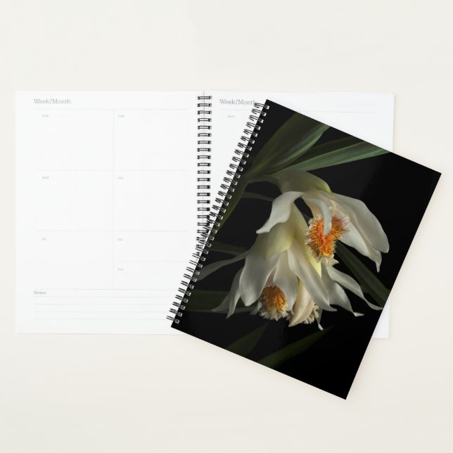 Agenda Thunia Marshalliana (Exibição)