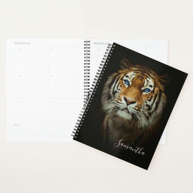 Agenda Tigre (Exibição)
