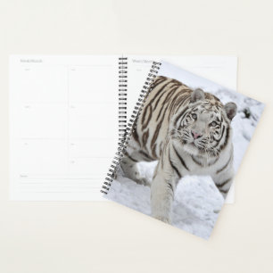 Agenda Tigre Branco