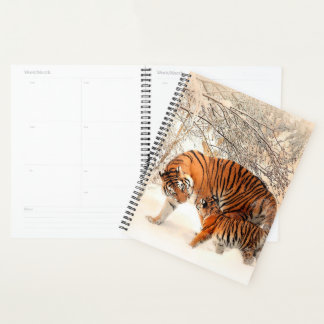 Agenda Tigres