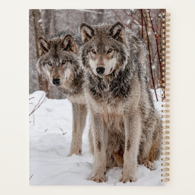 Agenda Timber Wolf (Verso)