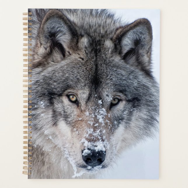 Agenda Timber Wolf  (Frente)