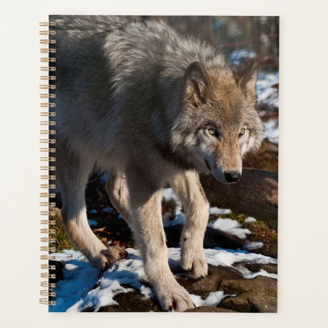 Agenda Timber Wolf (Frente)