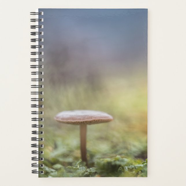 Agenda Tiny Mushroom Nature Foto (Frente)