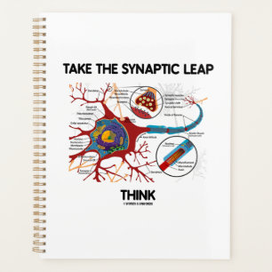 Agenda Tome O Simáptico Leap Think Neuron Synapse