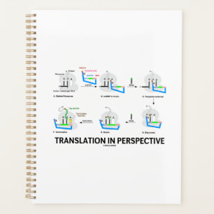 Agenda Tradução em Perspectiva Proteína Biológica do tRNA