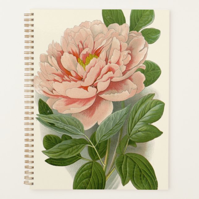 Agenda Tree Peony - Elegante Vintage Botanical Design (Frente)