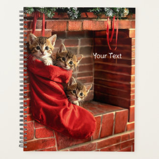 Agenda Três gatinhos numa meia de Natal