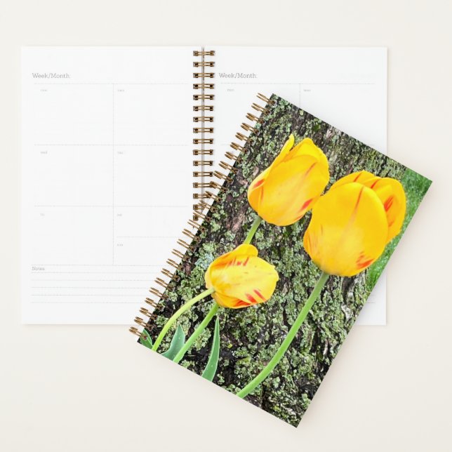 Agenda Três Tulipas Amarelas / (Exibição)