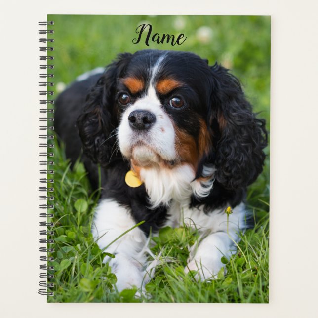 Agenda Tricolor Cavalier King Charles Spaniel Puppy Dog (Frente)