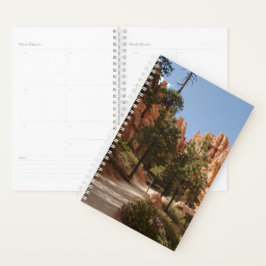 Agenda Trilha do Parque Nacional do Bryce Canyon