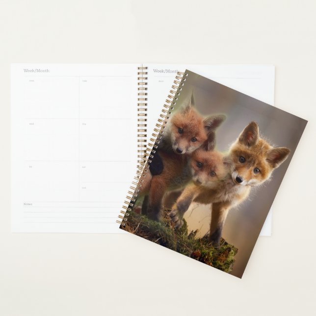 Agenda Tripletes Foxy (Exibição)