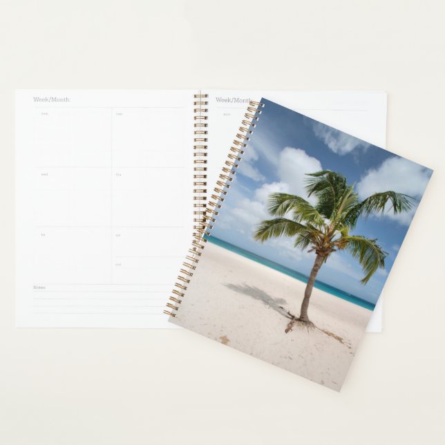 Agenda Tropical Beaches | Eagle Beach, Aruba (Exibição)