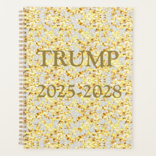 AGENDA TRUMP 2024
