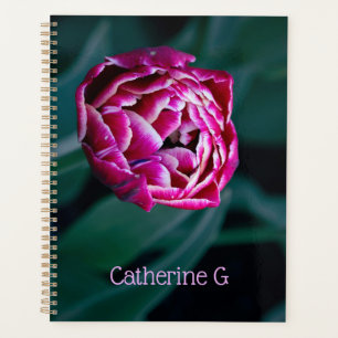 Agenda tulipa rosa