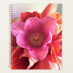 Agenda Tulipa Rosa dentro